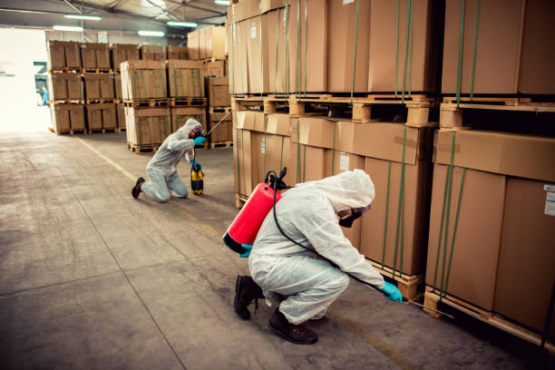 Best Flea Control Services  in Helena Valley Northwest, MT
