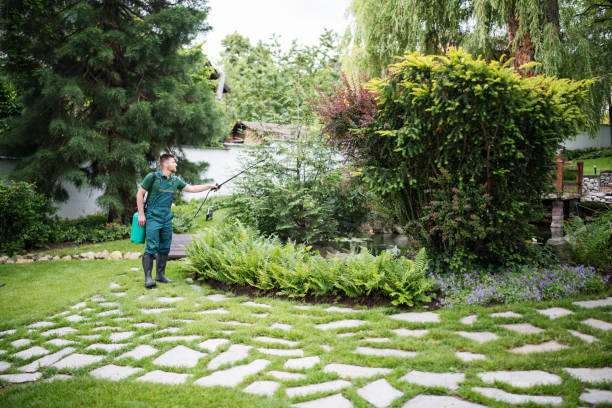 Best Mosquito Control Services  in Helena Valley Northwest, MT