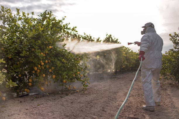 Best Emergency Pest Control  in Helena Valley Northwest, MT