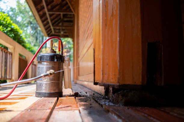 Best Exterminator Services  in Helena Valley Northwest, MT