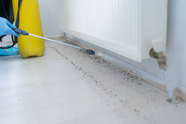 Pest Control for Restaurants in Helena Valley Northwest, MT