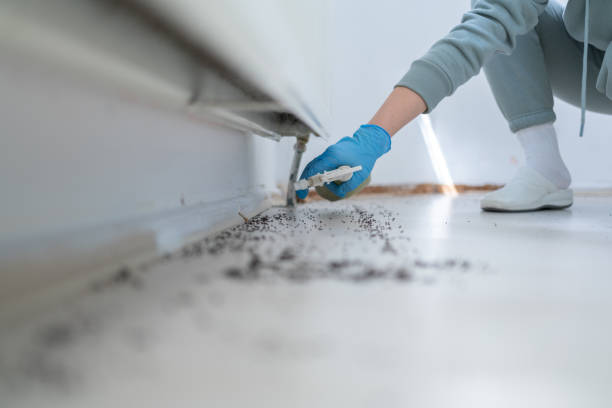 Best Best Pest Control Companies  in Helena Valley Northwest, MT