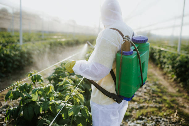 Trusted Helena Valley Northwest, MT Pest Control Experts